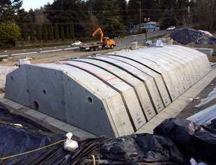 Renton Middle School #4