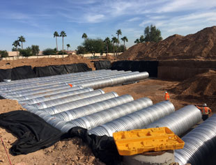 Renaissance Pebble Creek