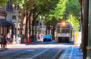 Ups of Street Trees and Downs of Leaves