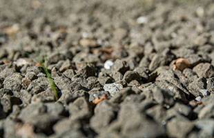 A Few Thoughts on Backfill Material Selection