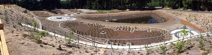 Whispering Firs Stormwater Park