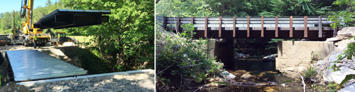 Hamilton Meadow over Cole Brook