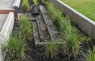 BiofiltrationBenefits_Hubspot