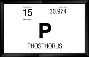 Protecting Phosphorus Limited Receiving Waters with Stormwater Control Measures