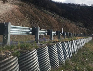 Dixie Fire Emergency Program