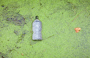 The Role of BMP Maintenance in Reducing Phosphorus in Stormwater