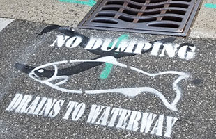 No Dumping Drains to Waterway