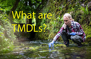 What are TMDLs?