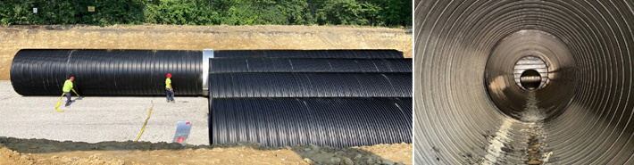 Cincinnati Zoo Elephant Trek