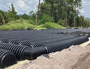 Registry On Grass Lake