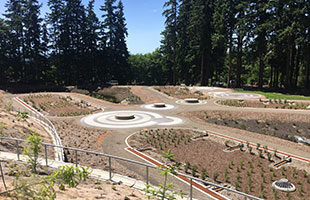 Stormwater Parks Part 1: Blending Urban Green Space with Water Management