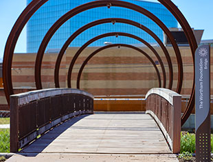 Camden Park - Library Loop Trail