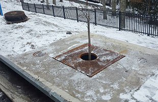 Filterra in the Snow