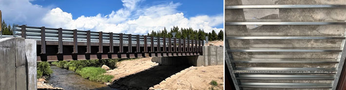 Colorado State University's Mountain Campus